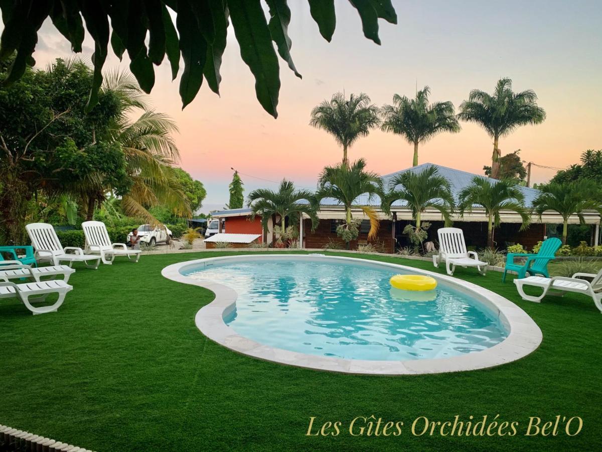 Les Gites Orchidees Bel'o Capesterre-Belle-Eau Buitenkant foto