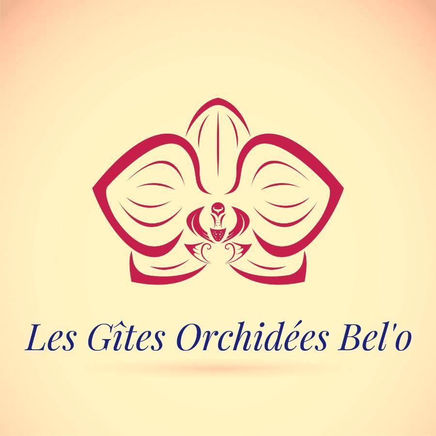 Les Gites Orchidees Bel'o Capesterre-Belle-Eau Buitenkant foto